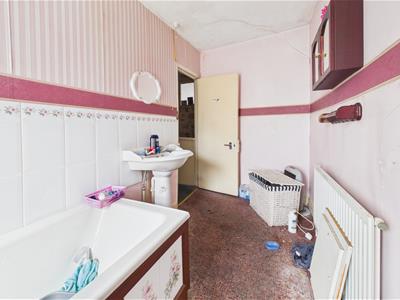 Picture 24